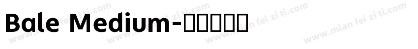 Bale Medium字体转换